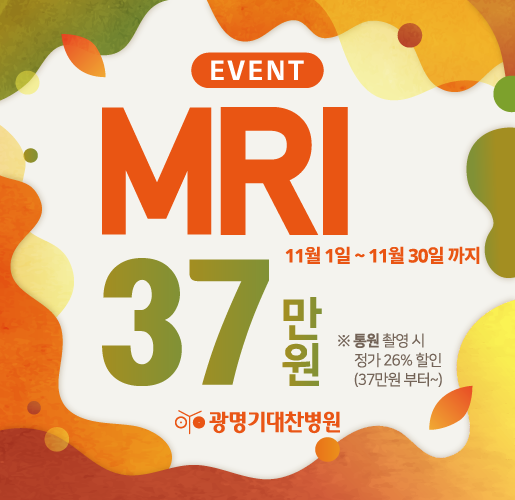 11월 mri  - 515x500