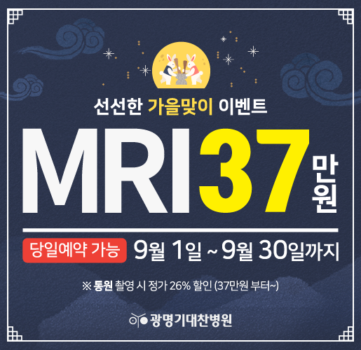9월 mri  - 515x500